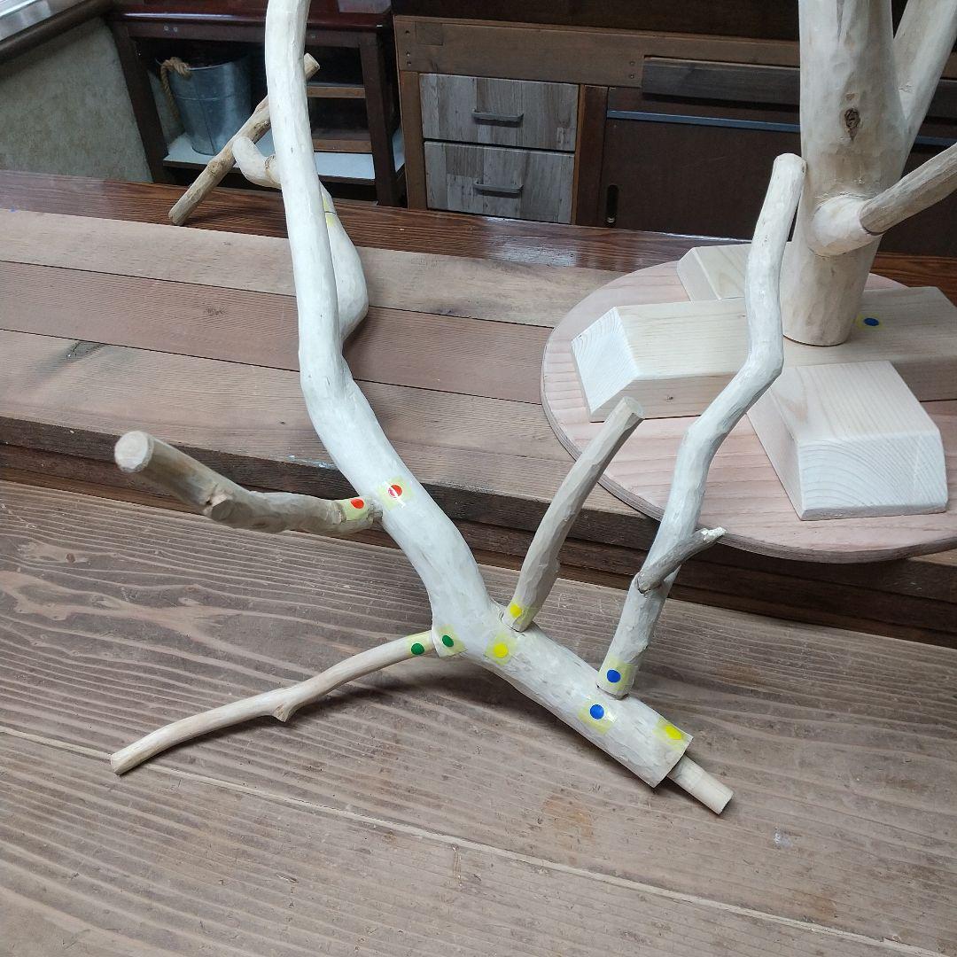 インコバードアスレチックジム楽園シリーズ⑤