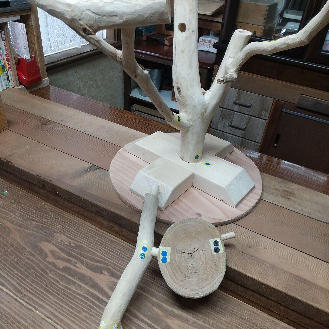 インコバードアスレチックジム楽園シリーズ⑤