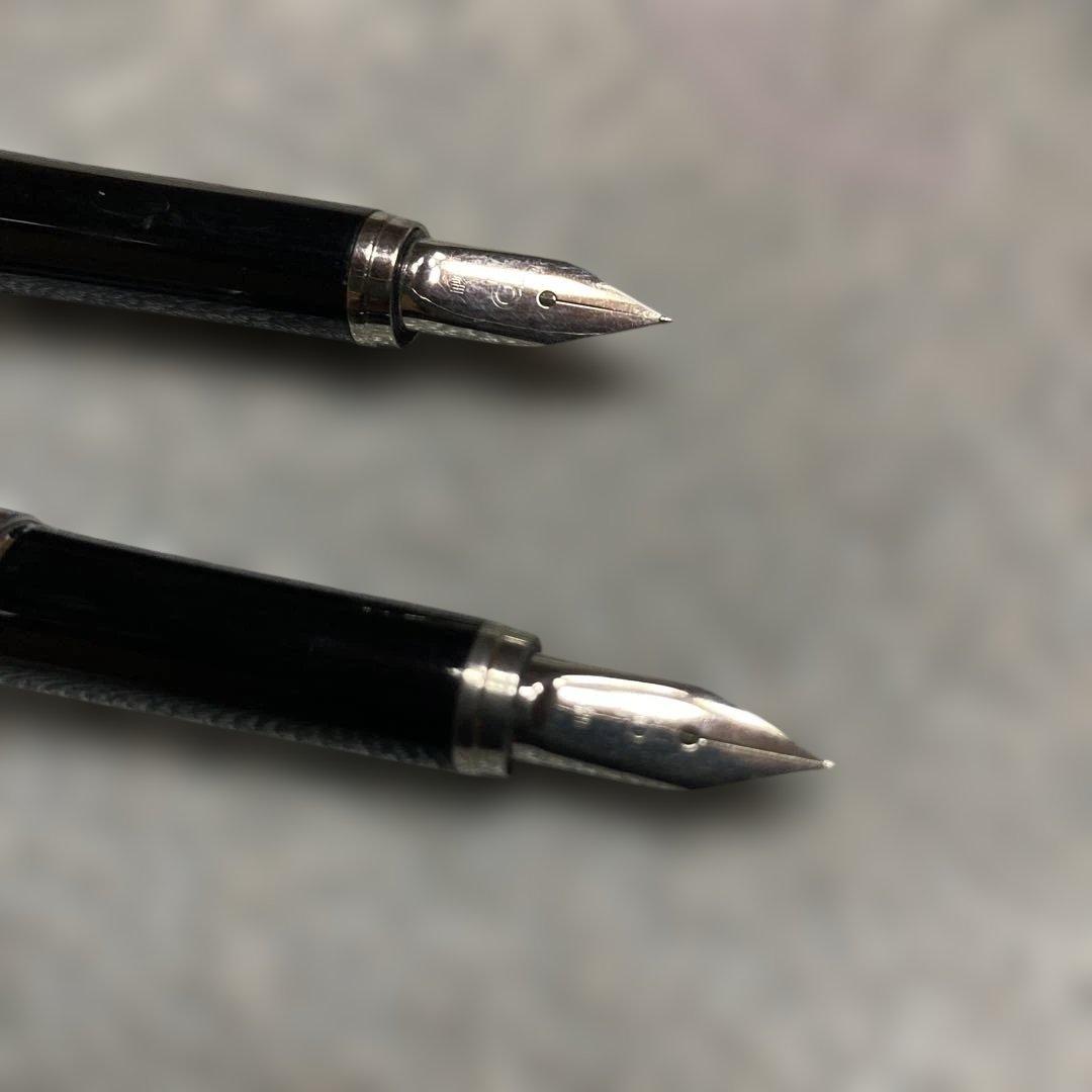 希少未使用　リビエール　プラチナ万年筆2本 PLATINAM Riviere細字