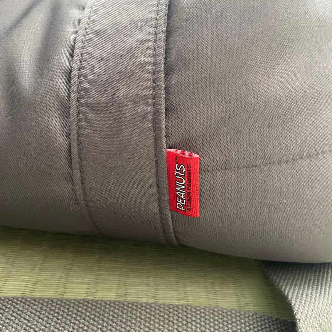 SNOOPY 犬用キャリーバッグ グレー