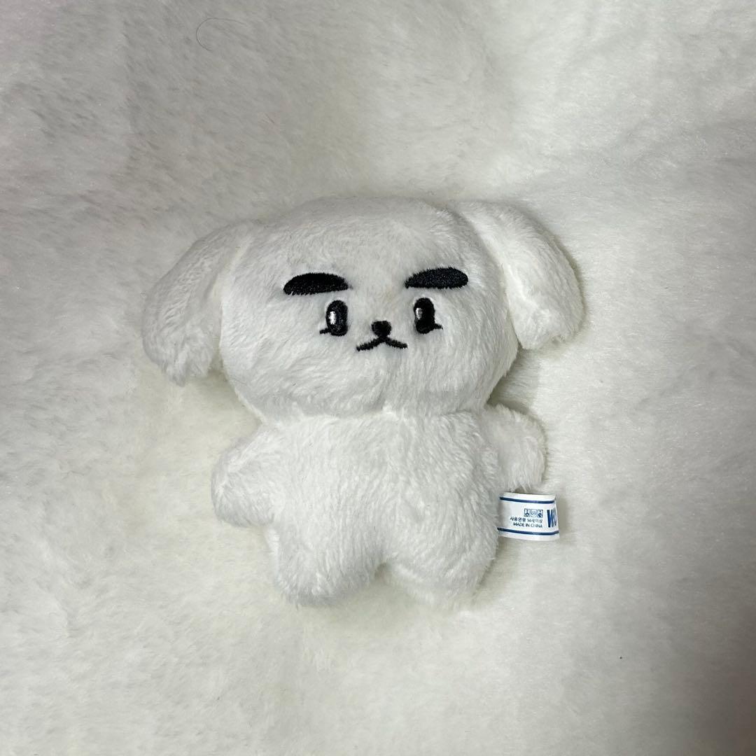 wayv威神V シャオジュン 10cmぬいぐるみ