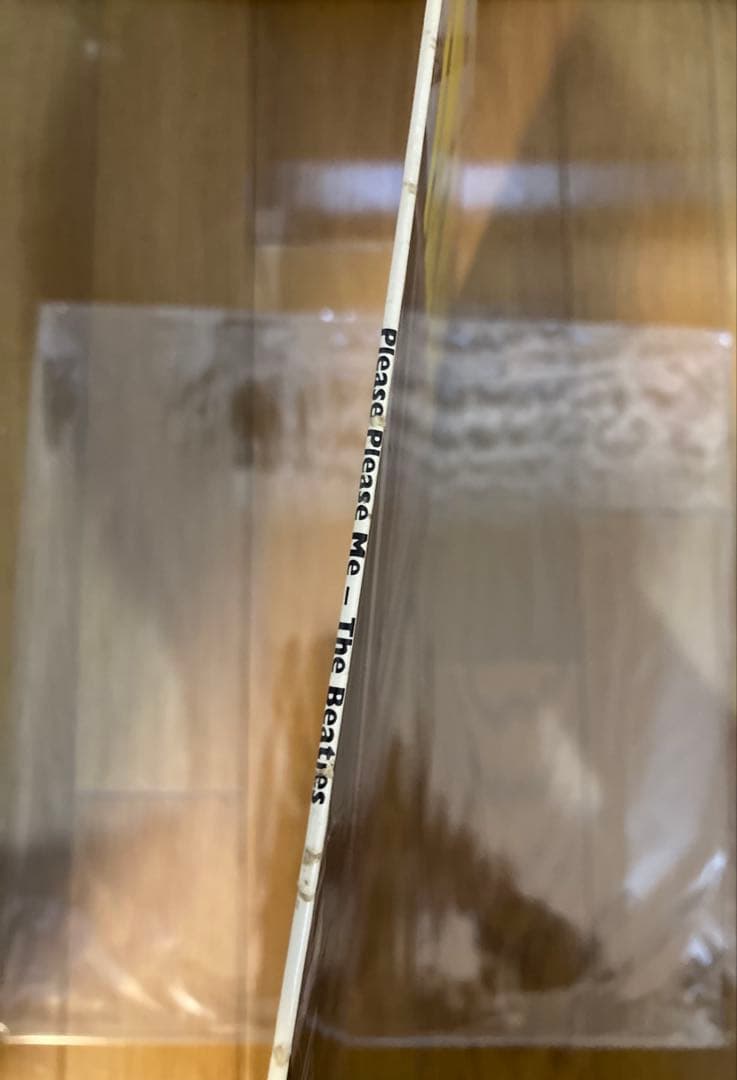 DK最初回GoldビートルズBeatlesレコードPleasePlease Me