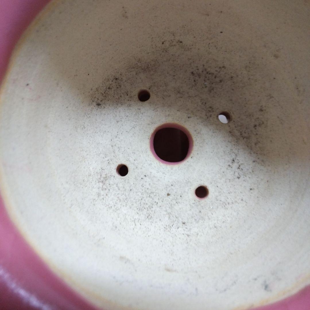 ミニ鉢、盆栽鉢、盆栽小鉢、鉢、植木鉢、山野草鉢、蘭鉢、盆栽