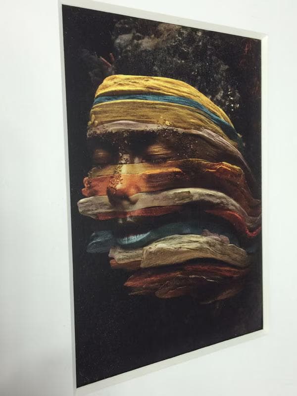 額装品/Bjork/ビョーク/Core/Andrew Thomas/アート