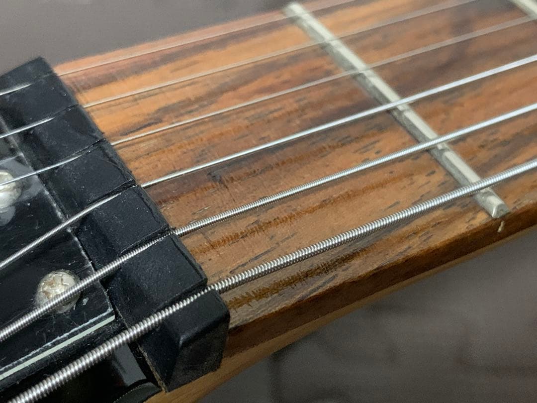 Chatting Bird Mockingbird モッキンバード hide