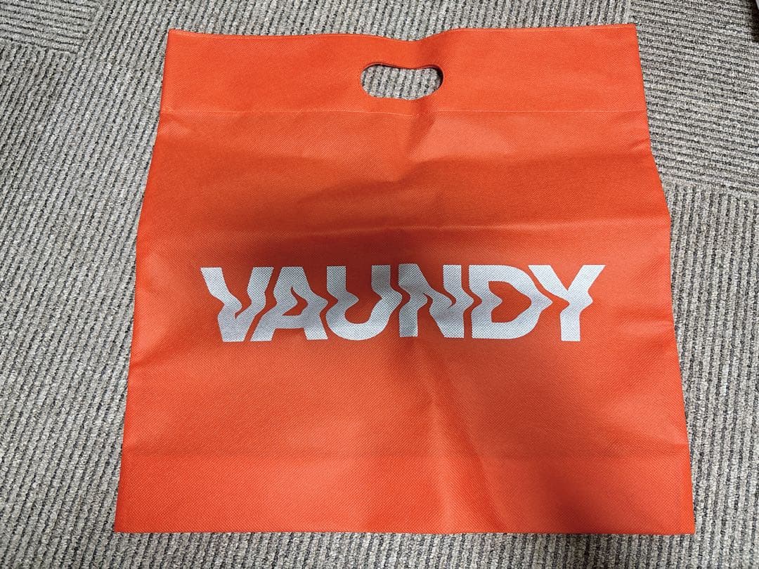 VAUNDY FUSION multi tote bag ショッパー
