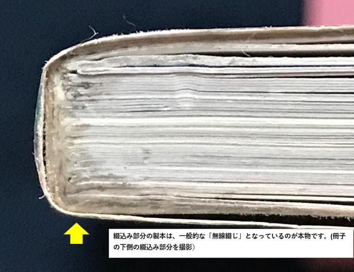 ・ZARD坂井水　歌手デビュー前蒲池幸子さん時代 写真集「NOCTURNE」