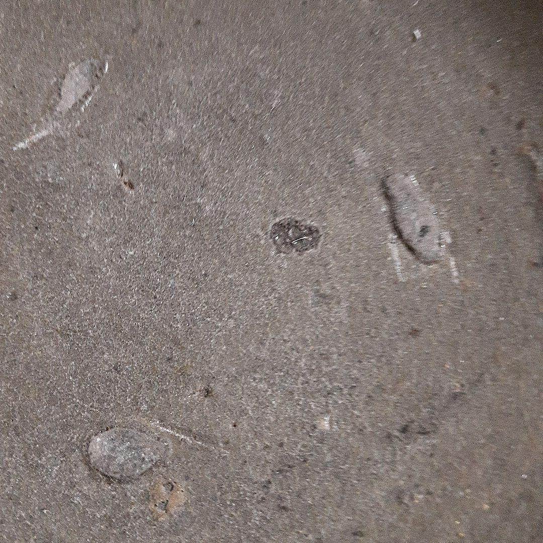 古唐津小皿　発掘品、江戸初期頃、