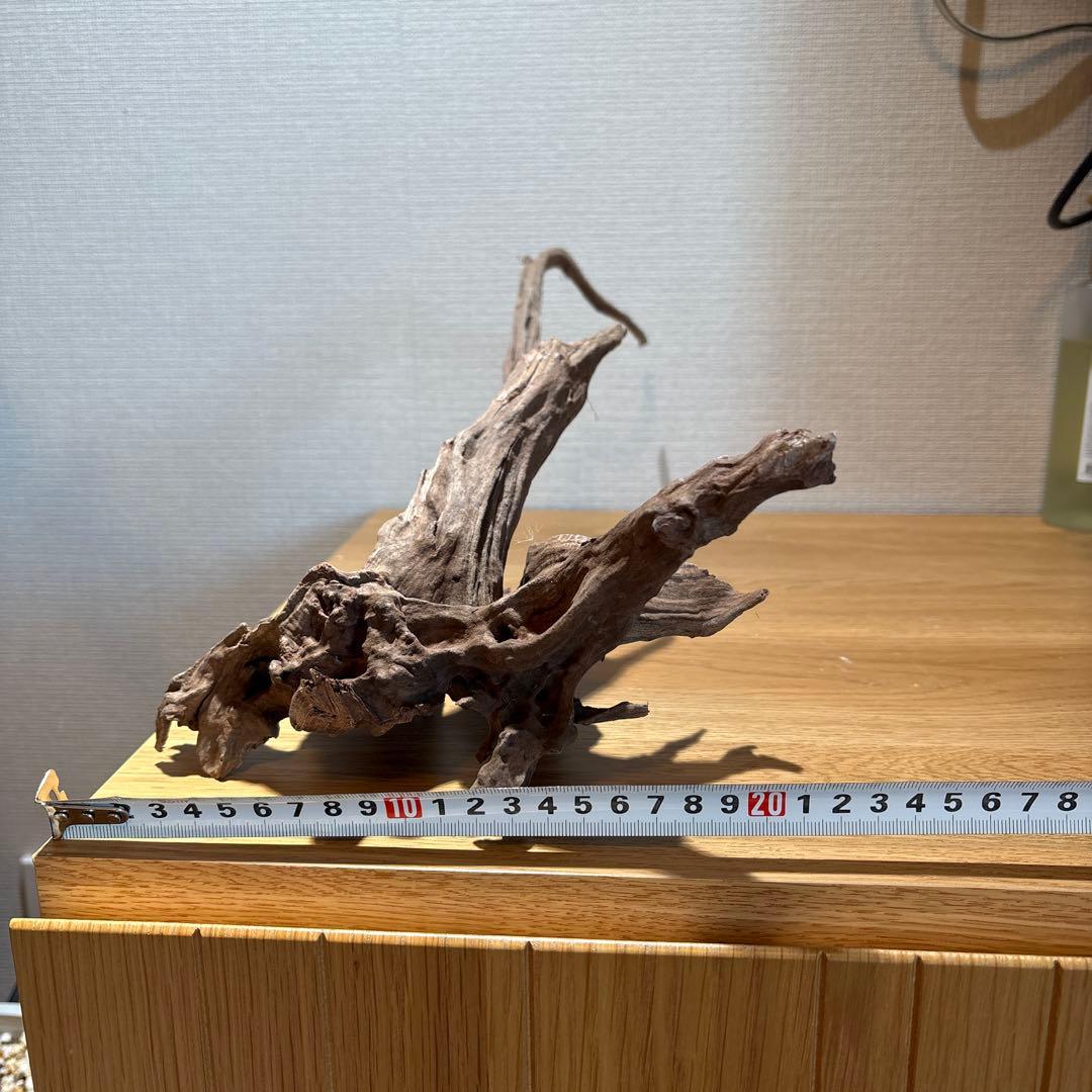 【早い者勝ち】 ADA流木 3本（まとめ買い500円引）