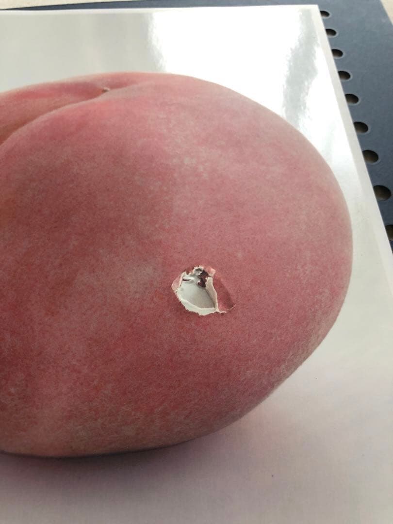 ［完全非売品］美品見本帳 ツジカワ東京デザインセンター