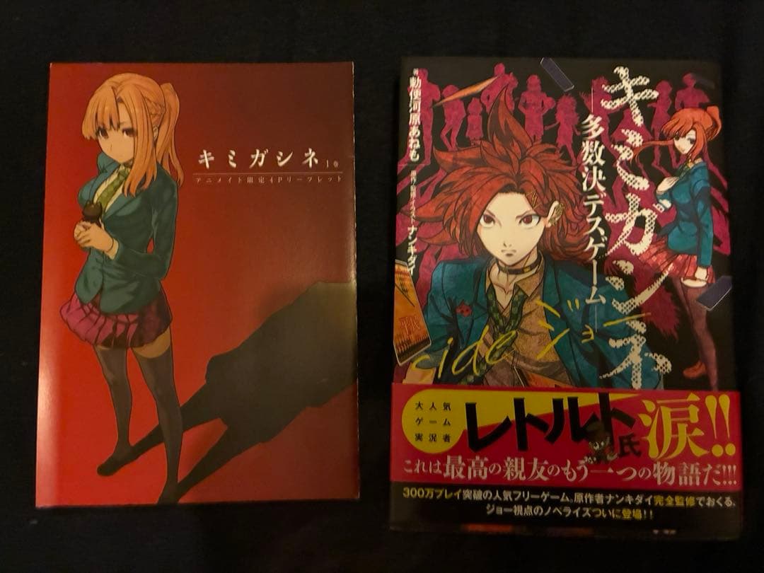 照*◎様 【レア】リーフレット きみよん キミガシネ sideジョー フリーゲー