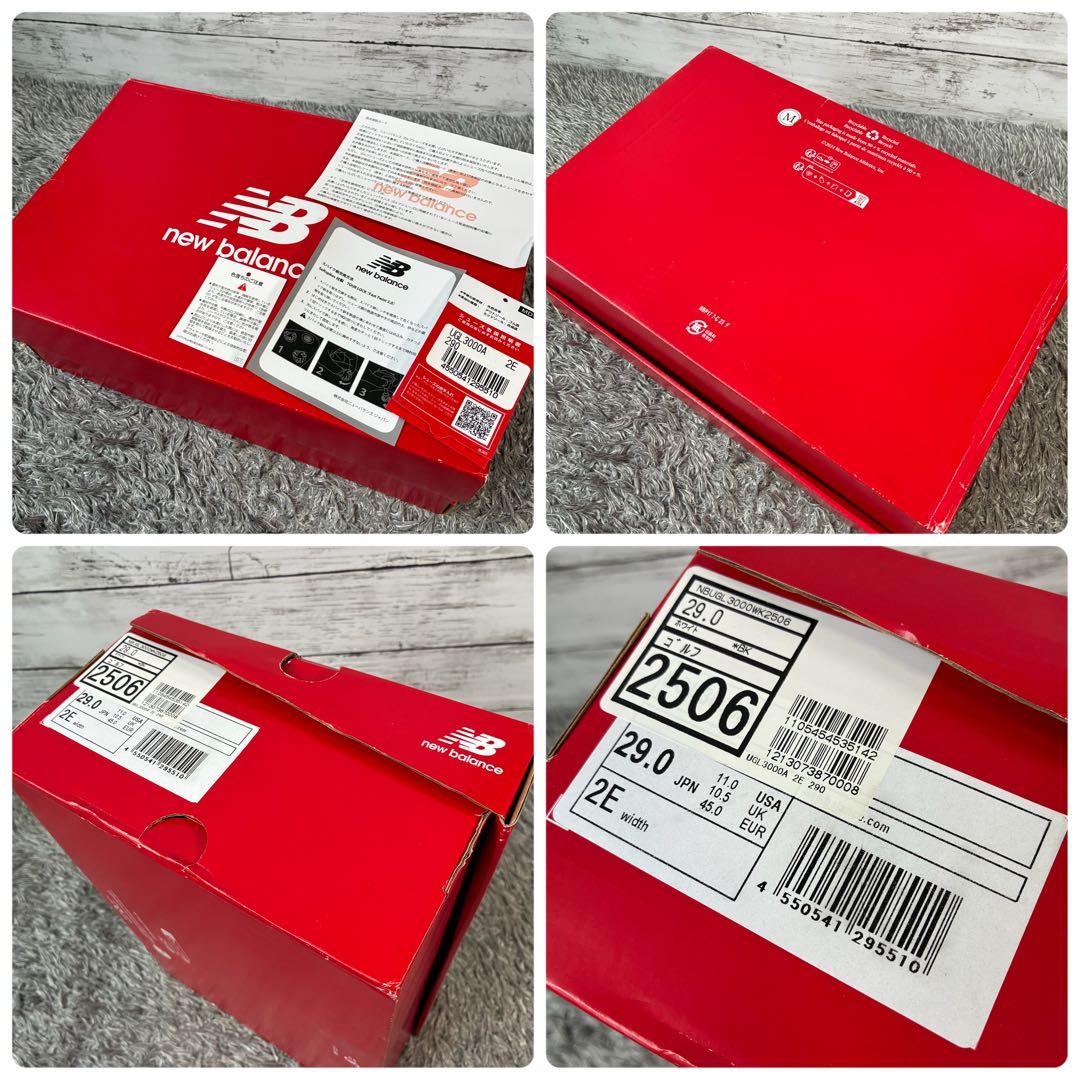 【良品】ニューバランス ゴルフシューズ FuelCell 3000 v1 29