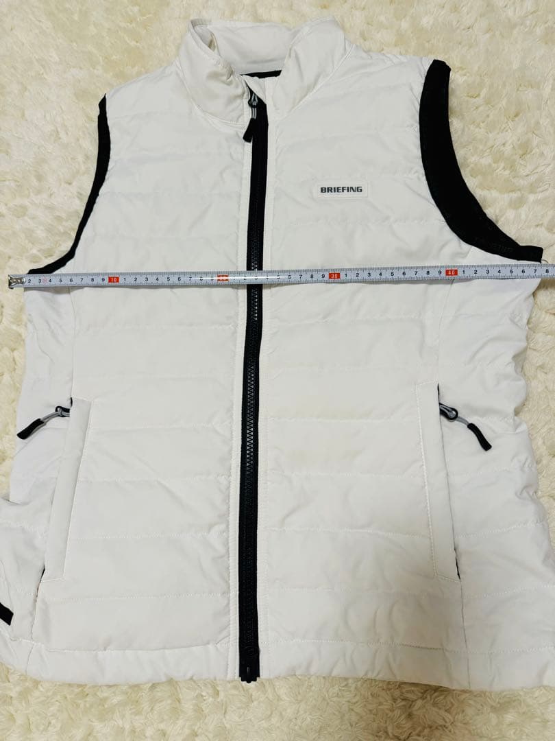 2日間だけ値下げBRIEFING Taion電ベストレディース ホワイトM