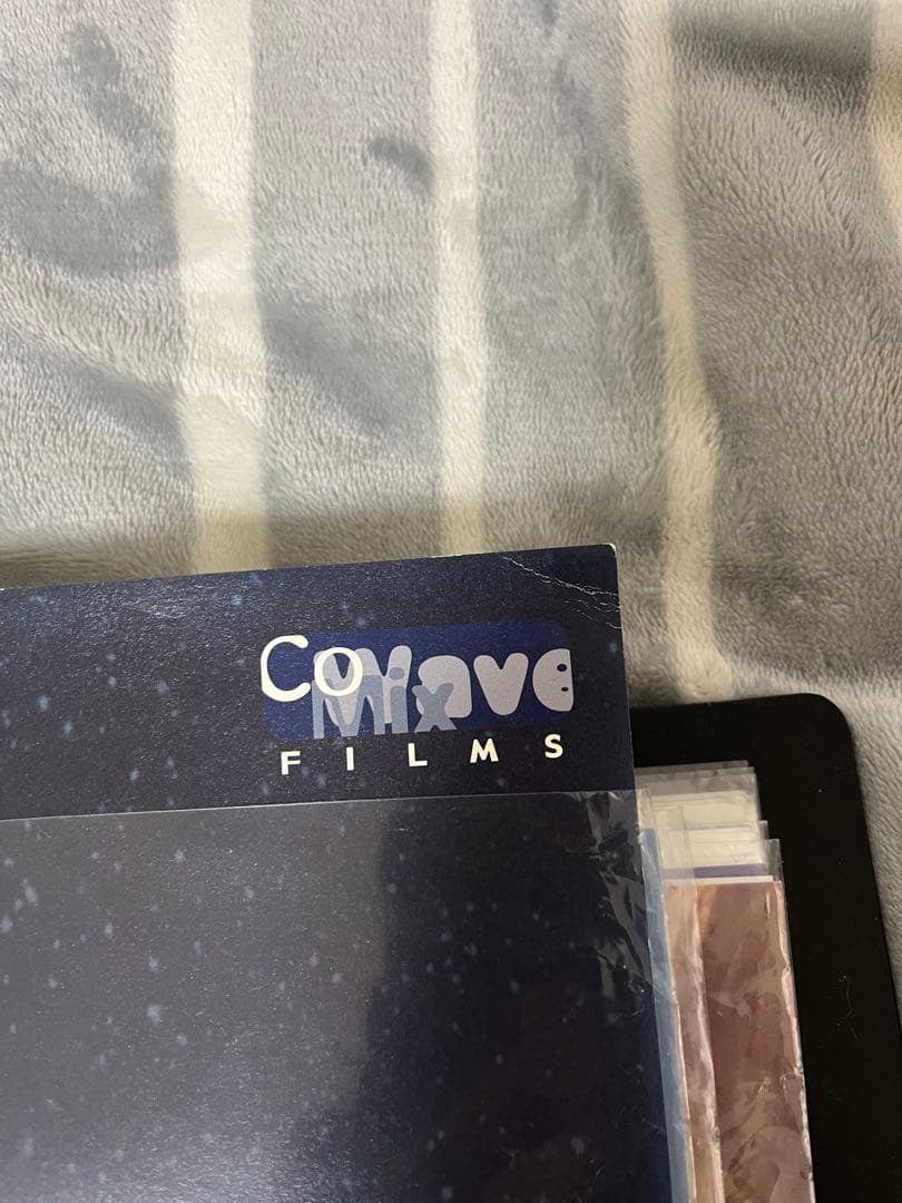 新海誠　秒速5センチメートル　B2ポスター 桜花抄