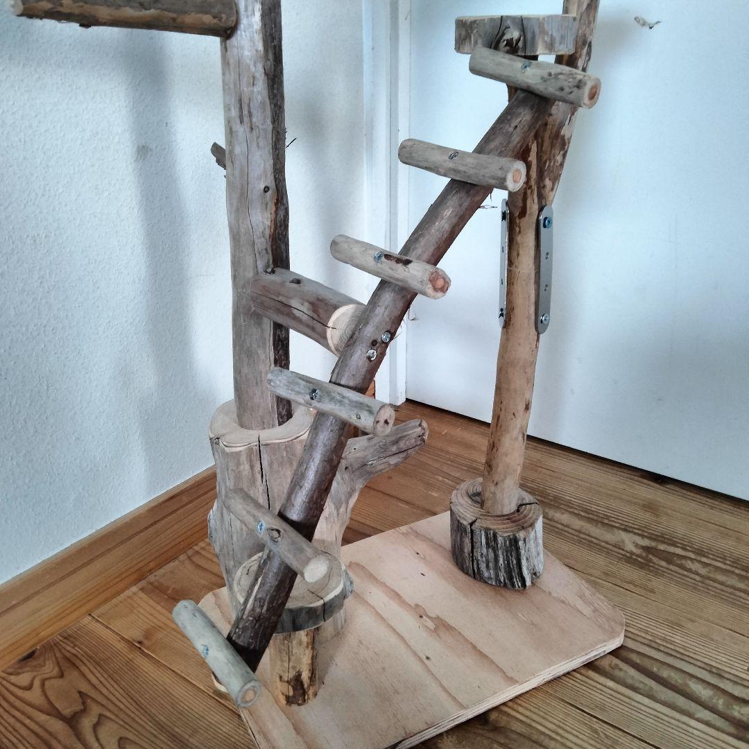 バードアスレチックジム㊼ 天然木 自然木 流木 止まり木 インコ