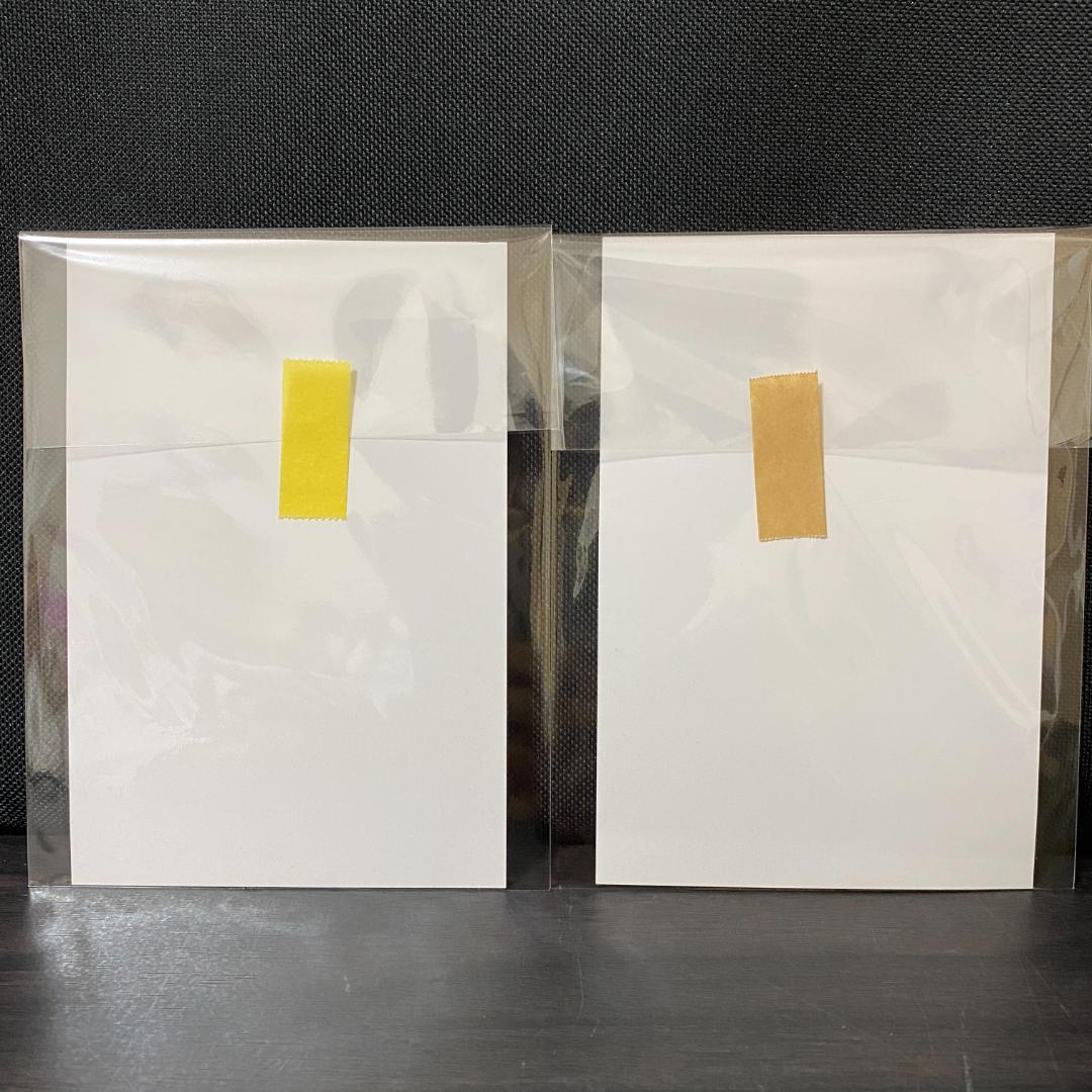 Devil May Cry 5 Visions of V 特典 カード ペーパー