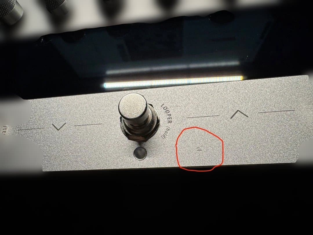 ベース Darkglass Electronics Anagram