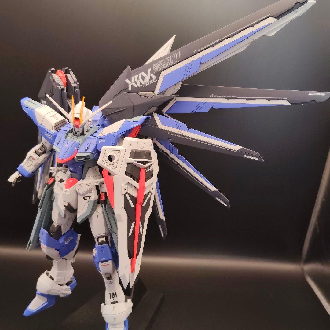 MG1/100 フリーダムガンダムver.2.0塗装（ライジング風改造）