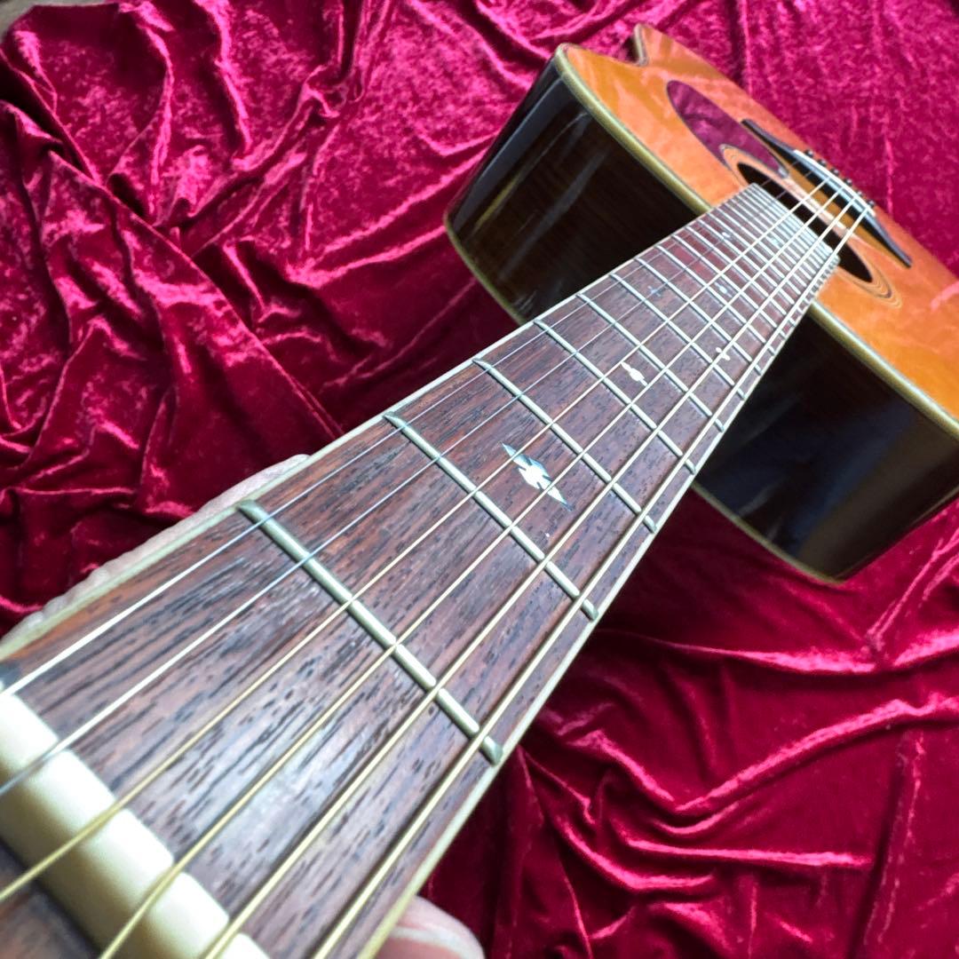 激鳴 TF MORRIS SPECIAL W-50 単板アコースティックギター