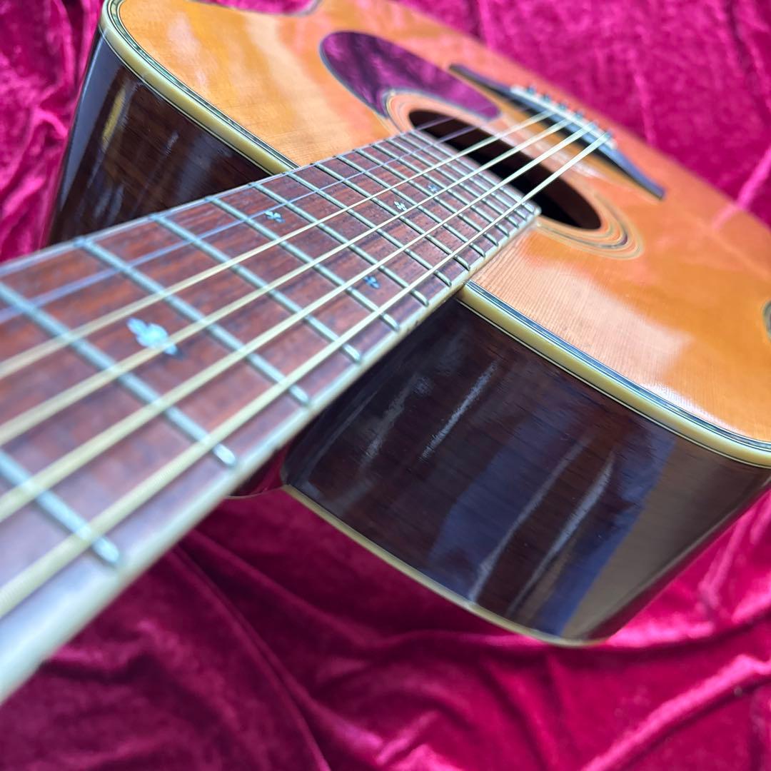 激鳴 TF MORRIS SPECIAL W-50 単板アコースティックギター