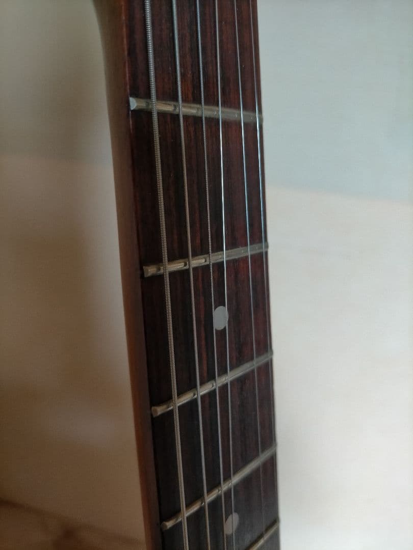 タンタカタンVISION VEG-120 ビジョン