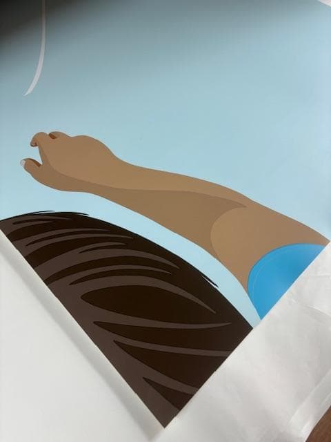 額装品/バルーン サマーピクニック 2007/ハーマンミラー