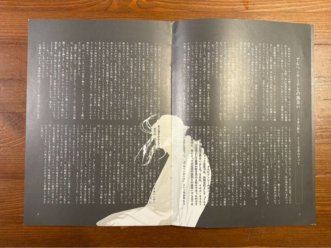 大野一雄 舞踏公演 パンフレット