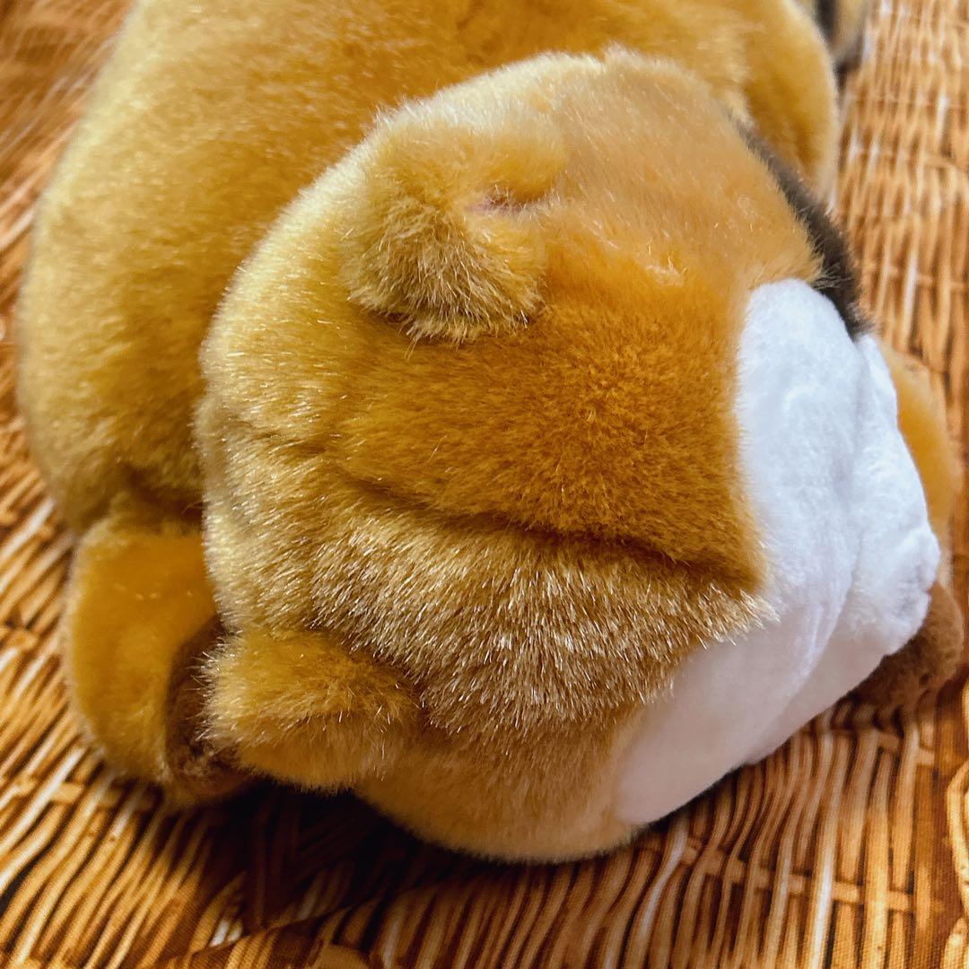 あらいぐま ラスカル おねむりラスカル 大きな ぬいぐるみ セキグチ BIG