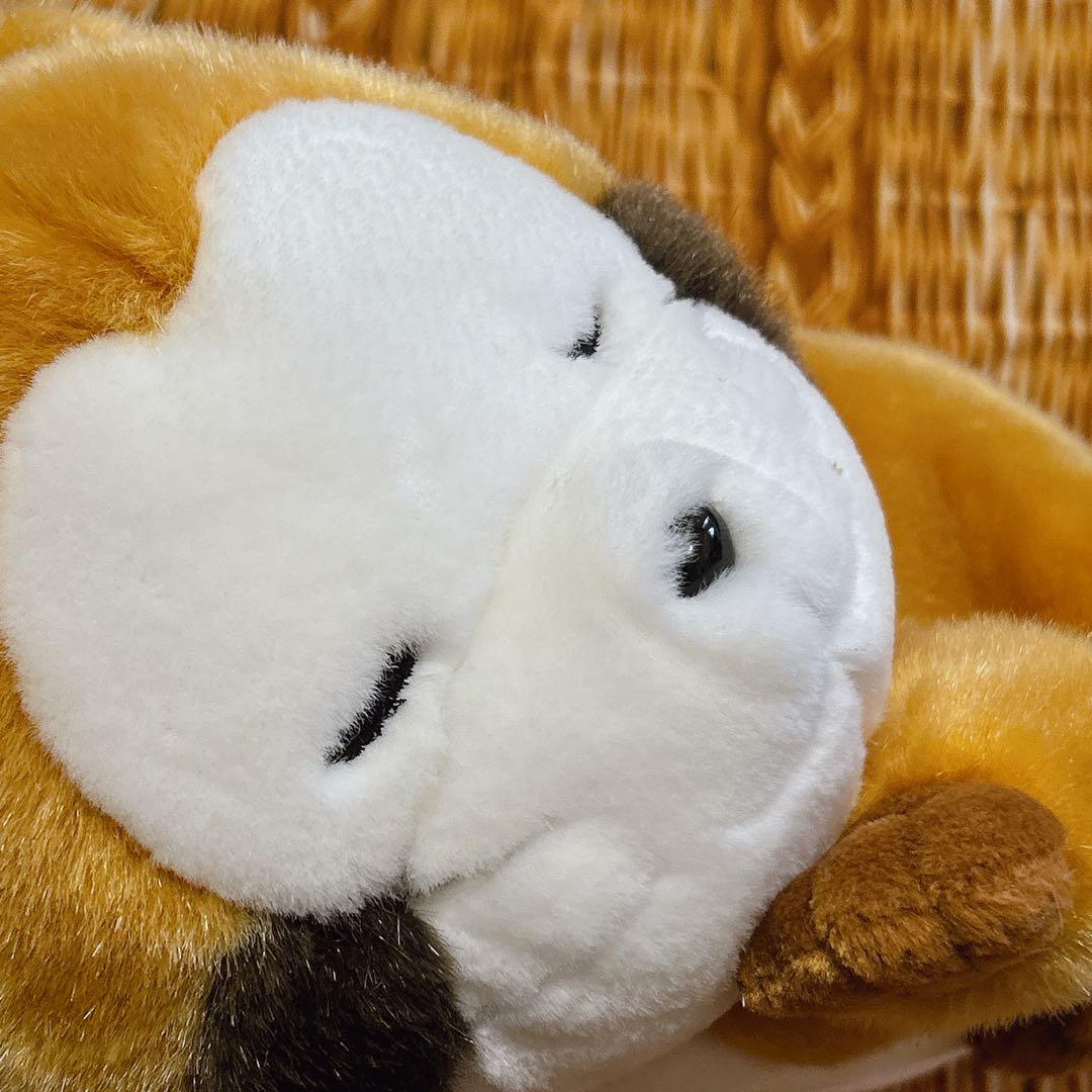 あらいぐま ラスカル おねむりラスカル 大きな ぬいぐるみ セキグチ BIG