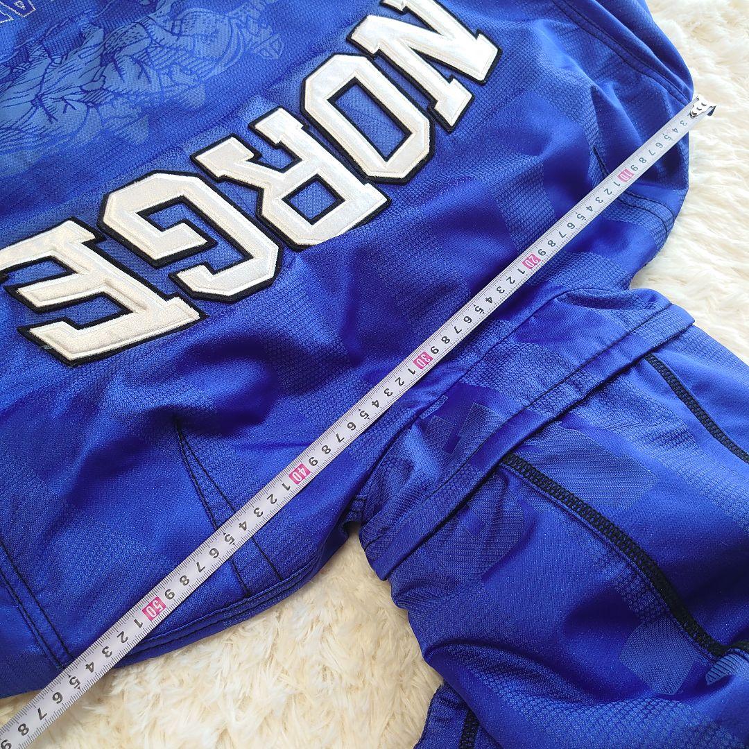 【超希少】フェニックス ノルウェーアルペンスキーチーム スキーウェア M