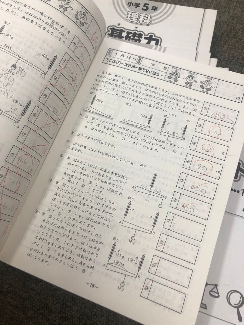 廃盤　サピックス５年理科基礎力トレーニング　年間12冊　2008年中古