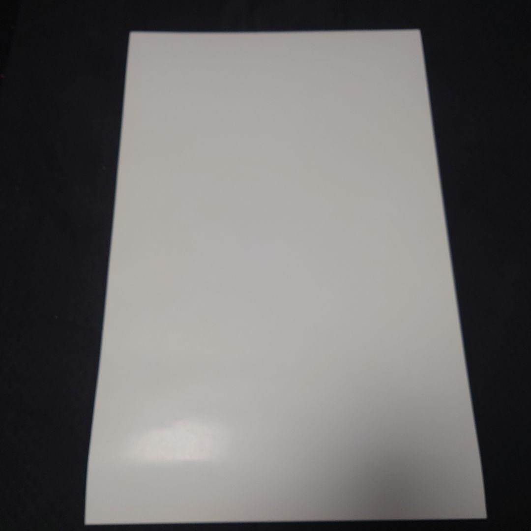 コレクション chaz bojorquez