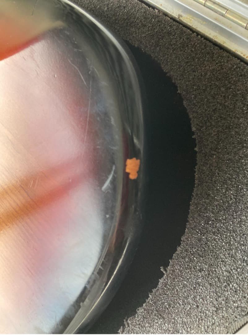 2003 Fender American Reissue - 1963年モデル