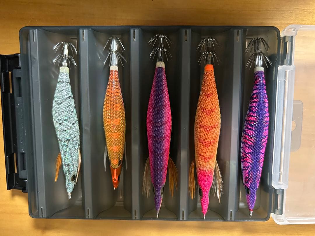 エギ10本セット　ケース付き