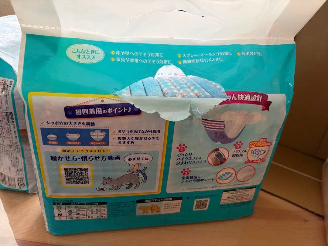 猫マナーパンツいろいろ