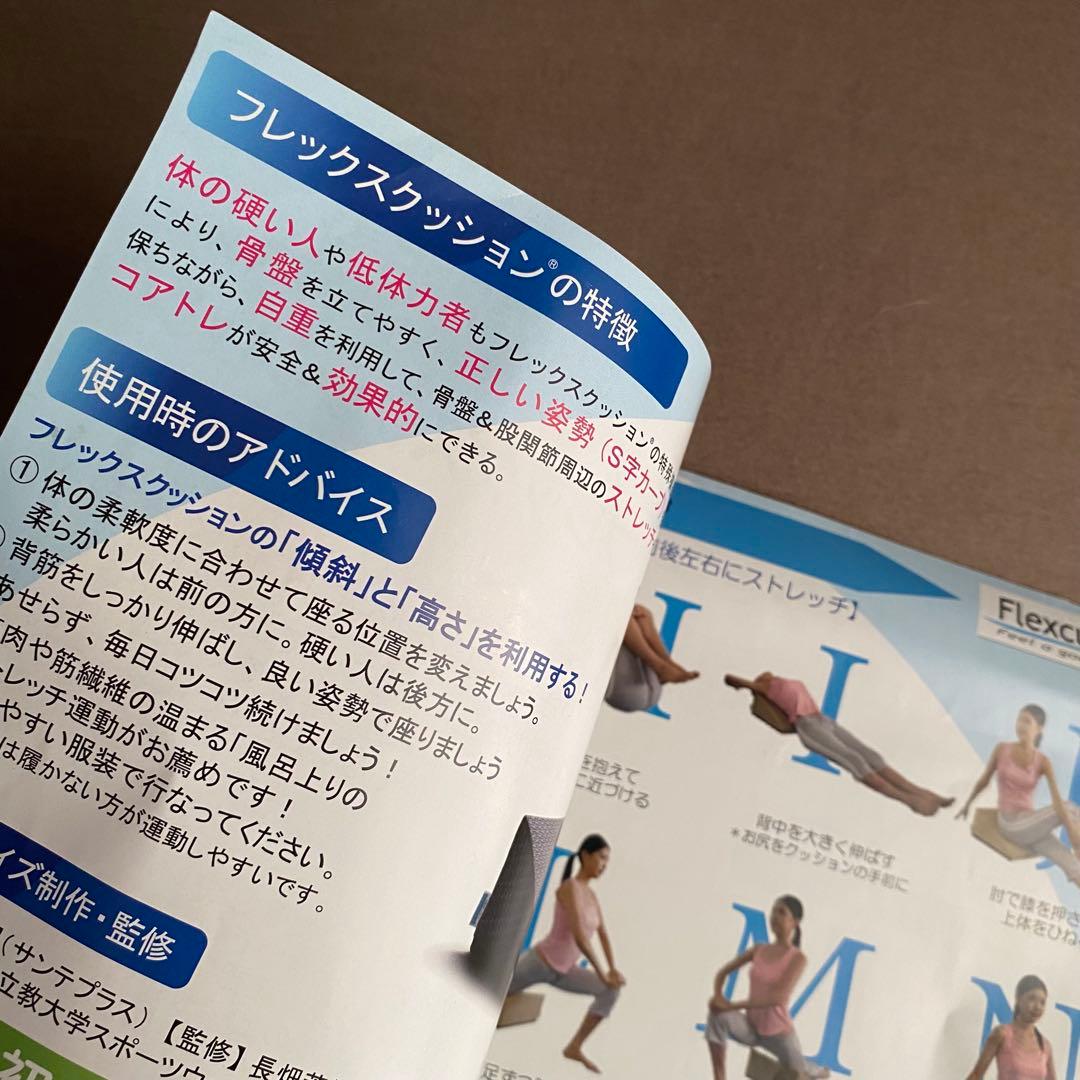 SANTEPLUS サンテプラス Flexcushion フレックスクッション