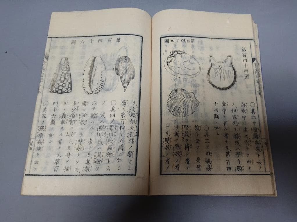 77　村松良粛抄輯　登高自卑　前編（上.中）後編（下.下末）4巻