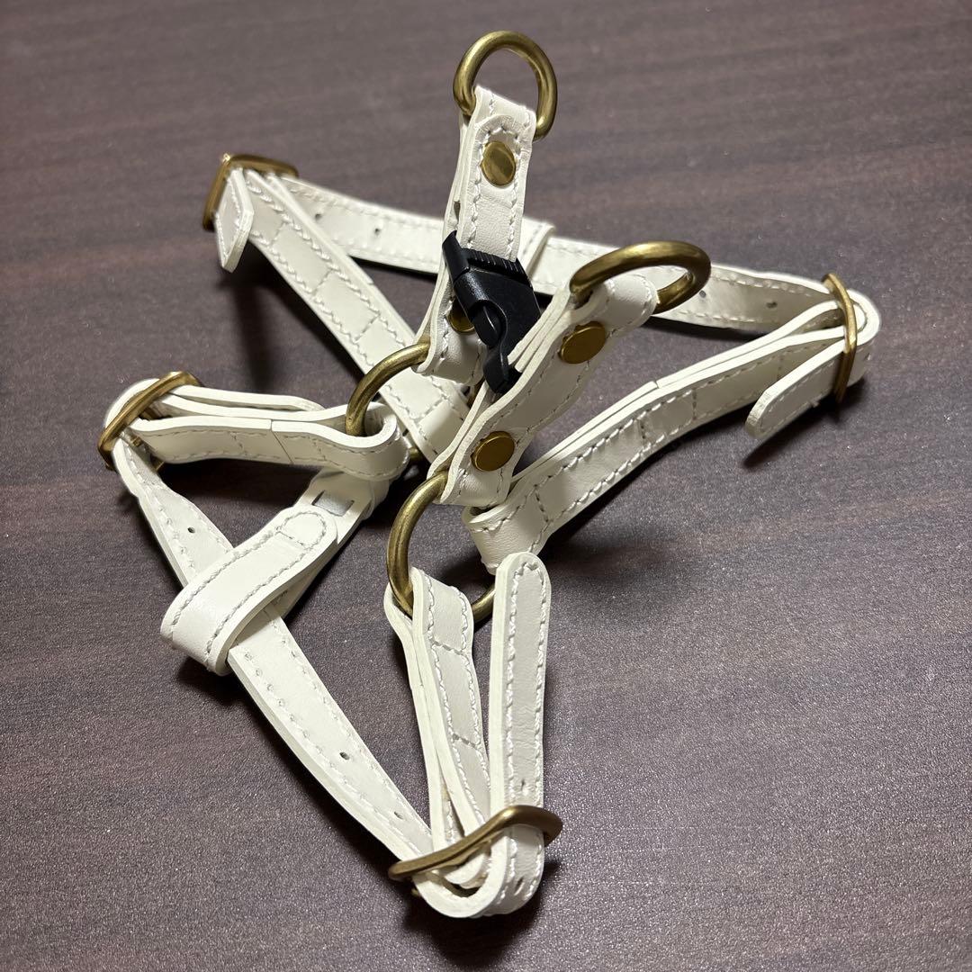 CITYDOG レザー ハーネスMサイズ&リードセット　アイボリー