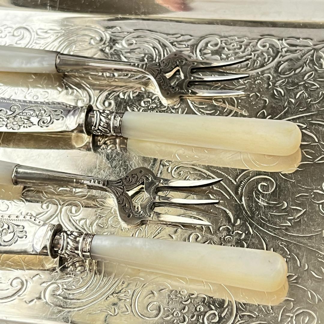 【Allen & Darwin】【白蝶貝】ミニサーバーセット 4本 ケース