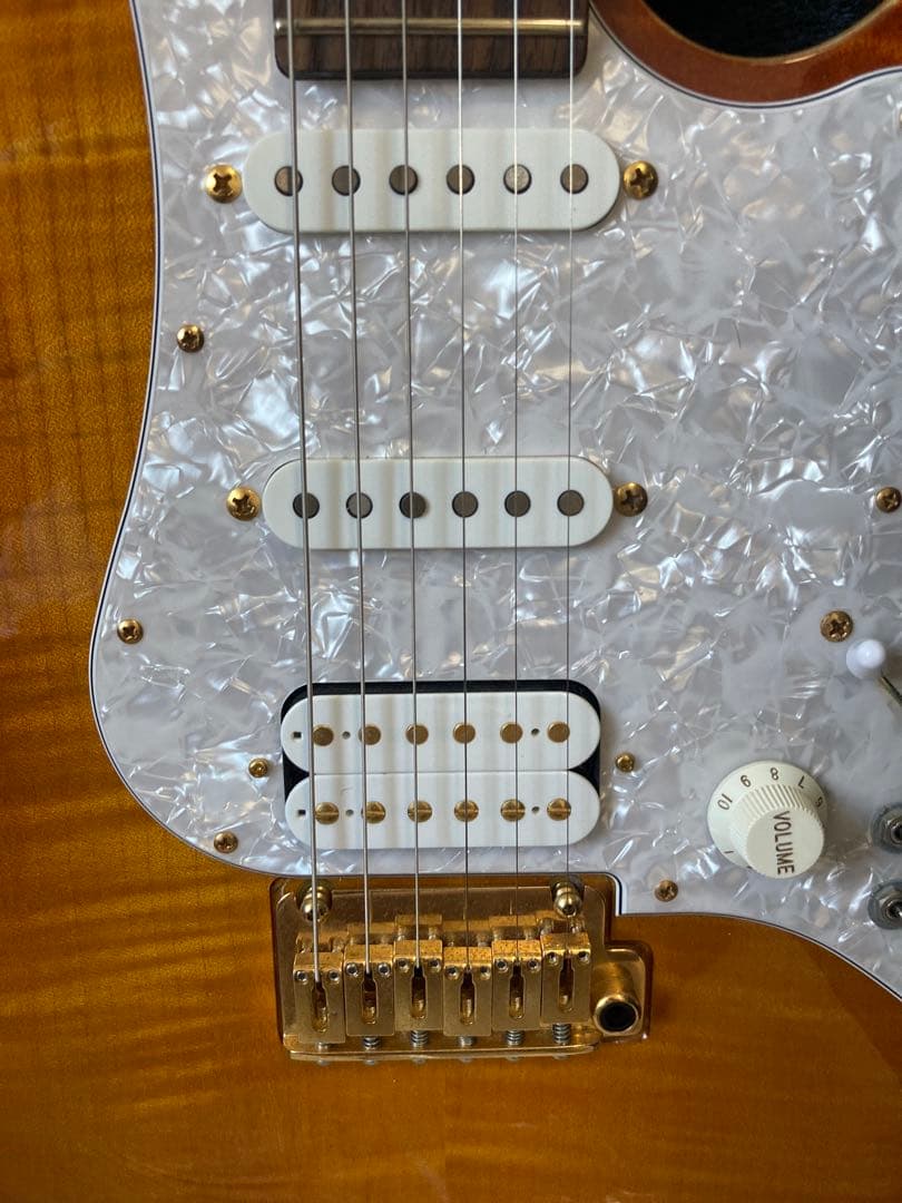 Fujigen EOS-FM-Rフレイムメイプル ほぼ未使用品 メンテナンス済み