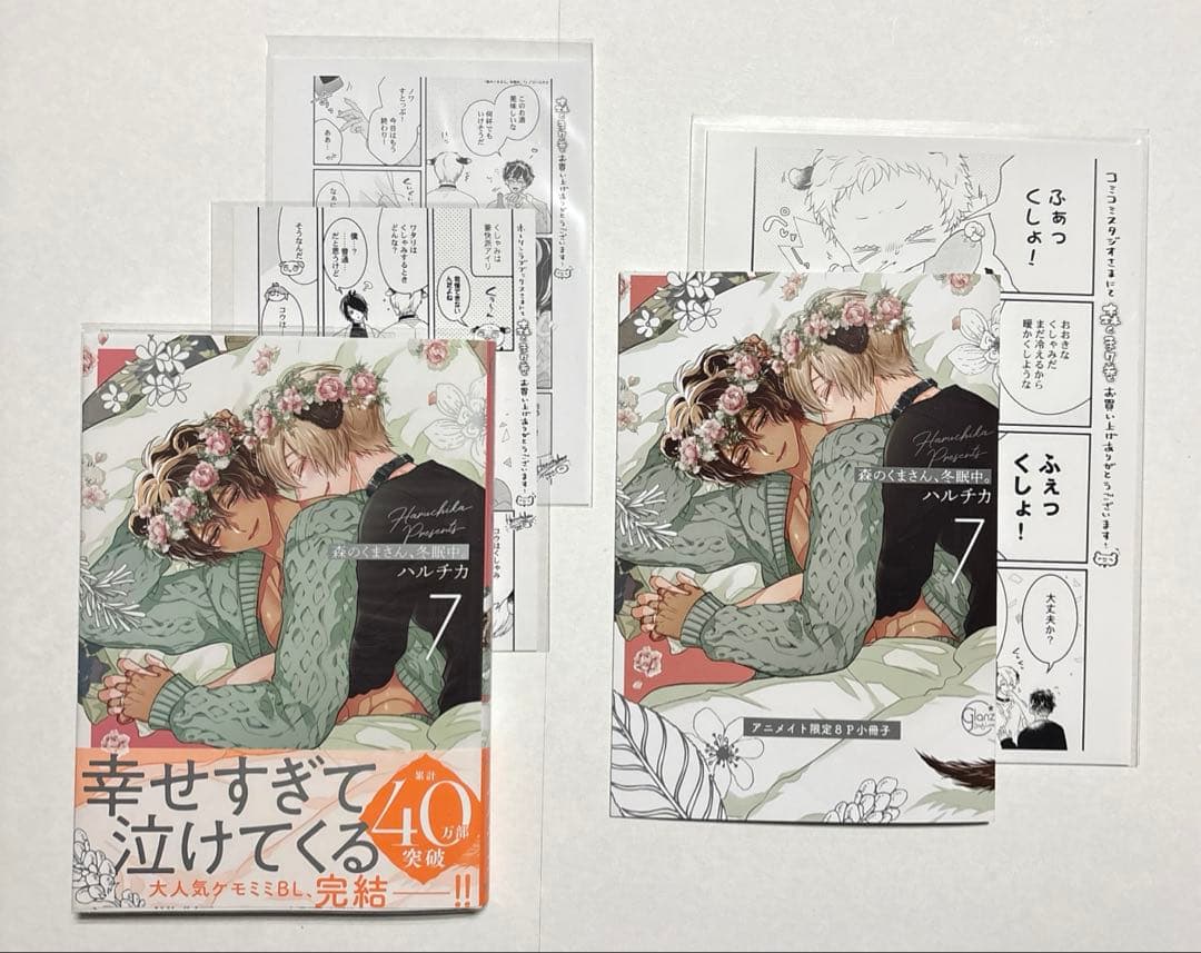 38点セット 森のくまさん、冬眠中。 ハルチカ