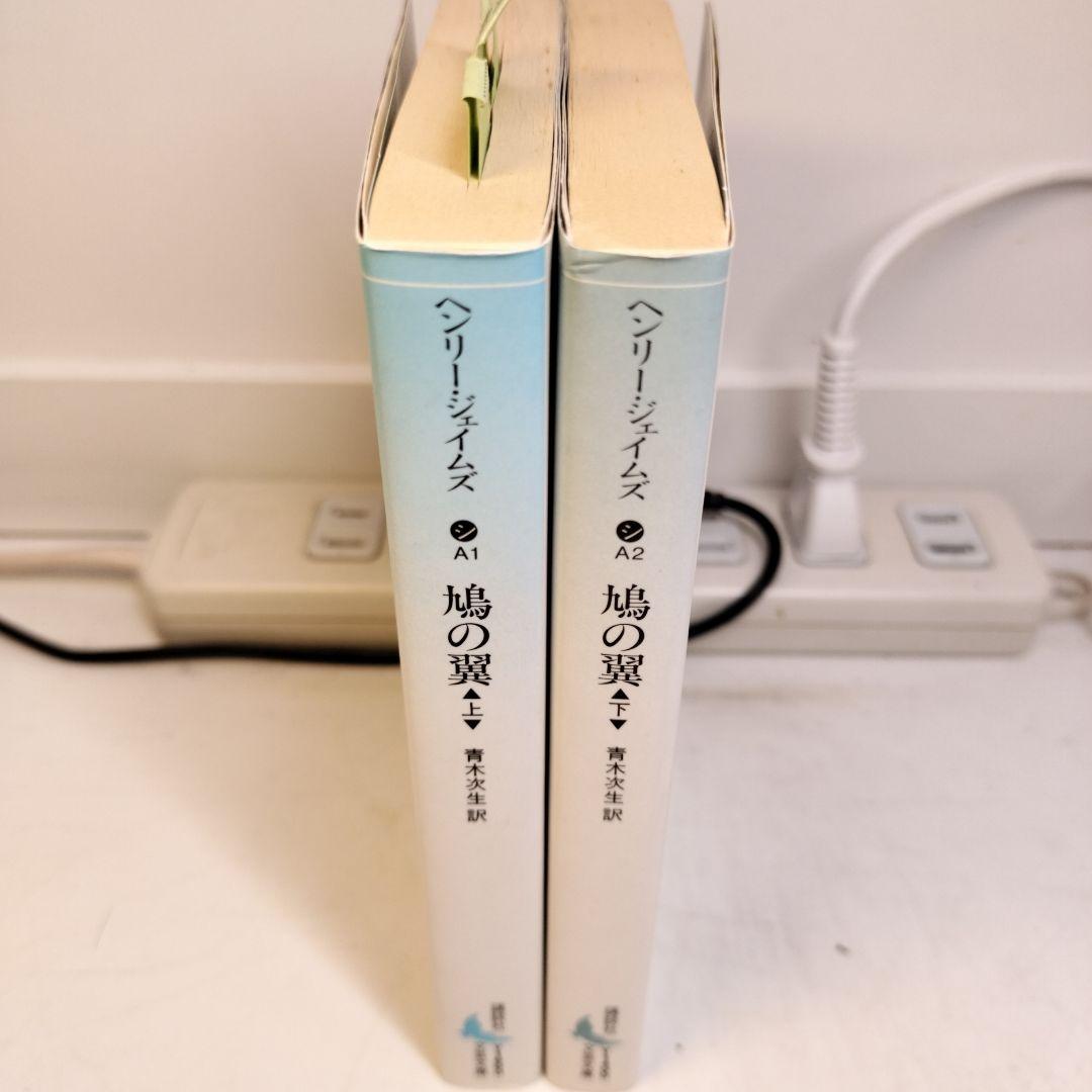 鳩の翼 上下 講談社文芸文庫