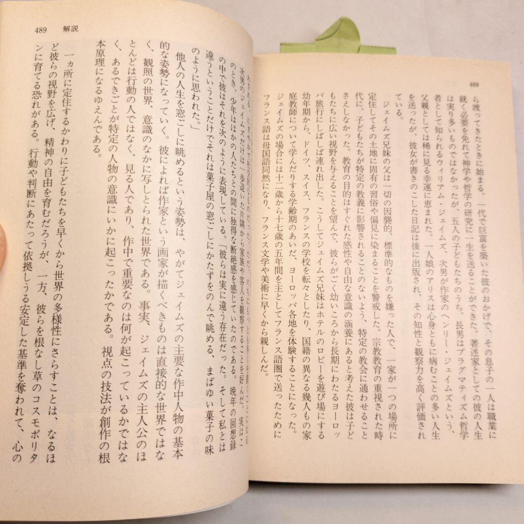 鳩の翼 上下 講談社文芸文庫