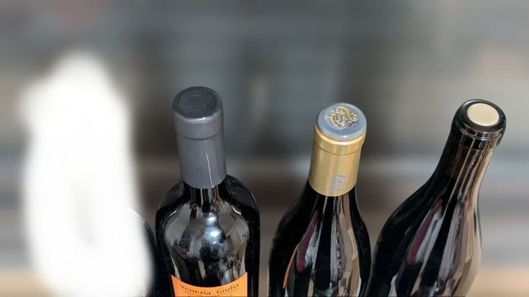 最終価格 激安 ナチュナルワイン 自然派ワイン 3本セット