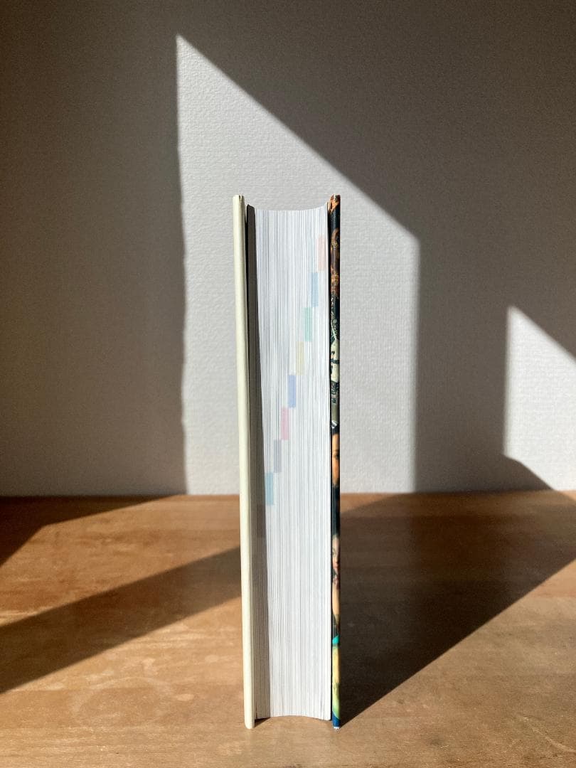 西洋美術館　THE HISTORY OF WESTERN ART【小学館】