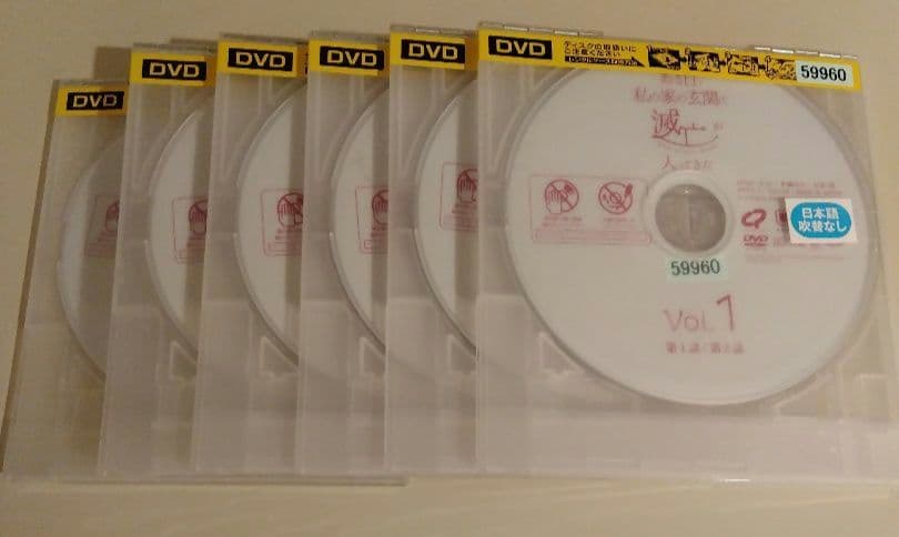 韓国ドラマ　ある日、私の家の玄関に滅亡が入ってきた　dvd 全巻