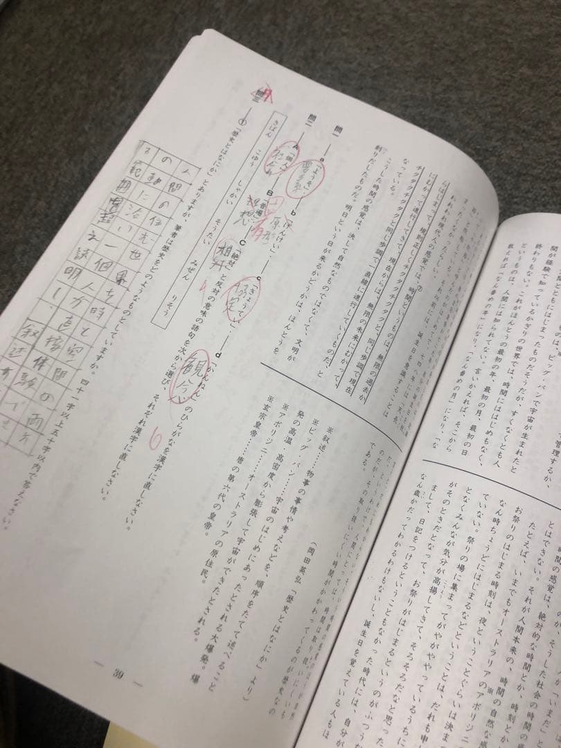 早稲田アカデミー　NN早大学院　日曜/夏期/正月/直前/副教材　2025年受験