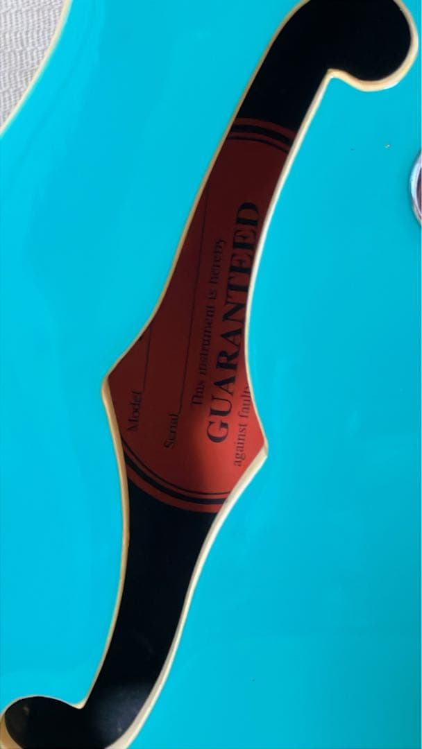 Epiphone WILDKAT エピフォンワイルドキャット　ミントグリーン