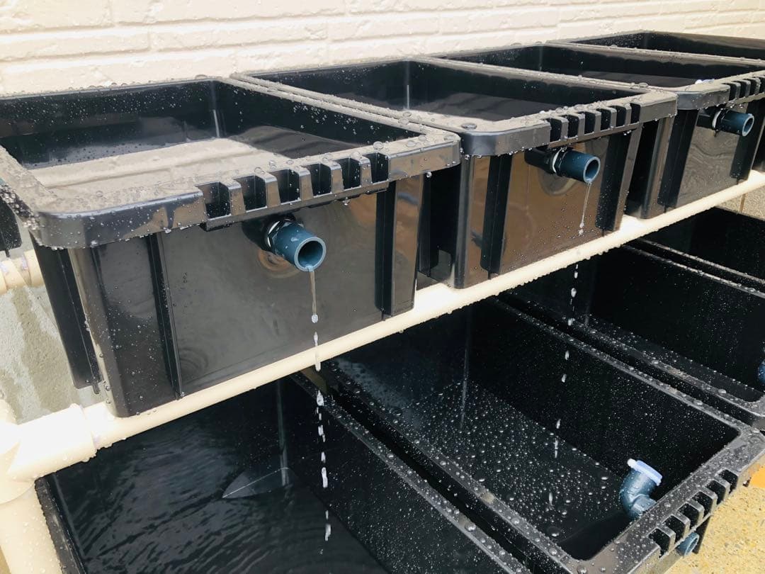 メダカ飼育ラック ブラック【接着剤付】 NVBOX13を12個置けます