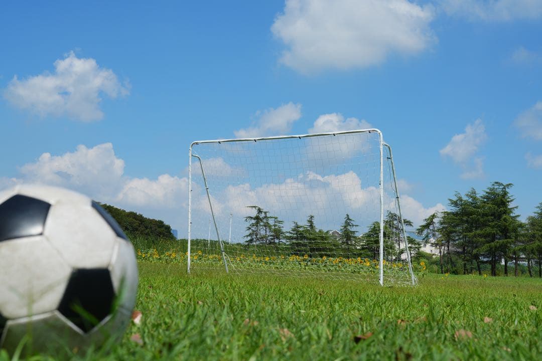 期限セール フットサルゴール  室内外兼用 公式サイズ キャリーバッグ付き